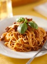 Spaghetti with basil garnish in meat sauce