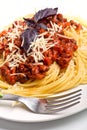 Spaghetti bolognese with cheese Royalty Free Stock Photo