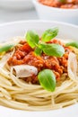 Spaghetti Bolognese with cheese and basil Royalty Free Stock Photo