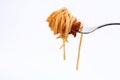 Spaghetti bolognese on fork