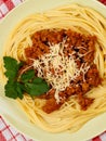 Spaghetti bolognese on a plate with kitchen napkin Royalty Free Stock Photo