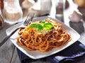 Spaghetti in bolognese sauce Royalty Free Stock Photo