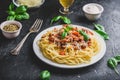 Spaghetti with bolognese sauce and parmesan cheese Royalty Free Stock Photo