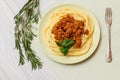 Spaghetti with bolognese sauce on a plate with metal fork Royalty Free Stock Photo