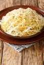Spaghetti Cacio e Pepe Recipe closeup in the plate. Vertical
