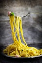 Spaghetti carbonara Royalty Free Stock Photo