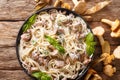 Spaghetti with chanterelle mushrooms in cream sauce with basil close-up on a plate. Horizontal top view Royalty Free Stock Photo