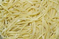Spaghetti close up Royalty Free Stock Photo