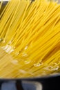 Spaghetti in boiling water Royalty Free Stock Photo