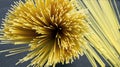 Spaghetti on a dark background