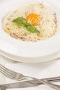 Spaghetti with egg and cheese closeup shot Royalty Free Stock Photo