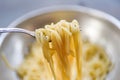 Spaghetti on fork / cooked spaghetti pasta italian food and menu