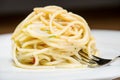 Spaghetti with garlic, oil and hot peppers Royalty Free Stock Photo