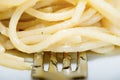 Spaghetti with garlic, oil and hot peppers Royalty Free Stock Photo