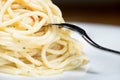 Spaghetti with garlic, oil and hot peppers Royalty Free Stock Photo