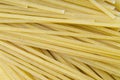 Spaghetti Italian Pasta