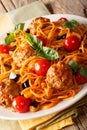 Spaghetti with meat balls, vegetables in a tomato sauce close-up on a plate on a table. vertical, rustic Royalty Free Stock Photo