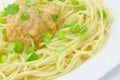 Spaghetti with Meatball and Spring Onions Royalty Free Stock Photo
