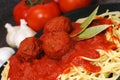 Spaghetti and Meatballs Closeup