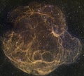 The Spaghetti Nebula. Simeis 147 Supernova Remnant. Elements of this image were furnished by NASA