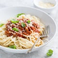 Spaghetti pasta with bolognese sauce and parmesan cheese Royalty Free Stock Photo