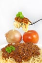 Spaghetti pasta on fork Royalty Free Stock Photo