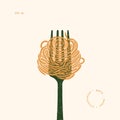 Spaghetti pasta on a fork. Pasta design element. Textured vintage illustration. Royalty Free Stock Photo