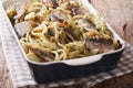 Spaghetti with sardines, fennel, raisins, nuts and parsley close Royalty Free Stock Photo