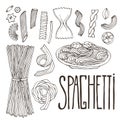 Spaghetti sketches. Vintage hand drawn pasta. Isolated italian food for menu design. Sketched pack of pasta illustration