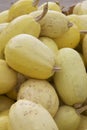 Spaghetti Squash for Sale on Rural Farm Royalty Free Stock Photo