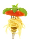 Spaghetti, tomato, basil on fork