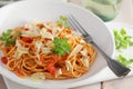 Spaghetti with tomato sauce, parmesan and basil Royalty Free Stock Photo