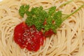 Spaghetti, tomato sauce and parsley Royalty Free Stock Photo