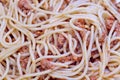Spagueti bolognesa Royalty Free Stock Photo