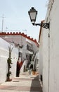 Spain. Andalucia. Mijas. Street with white walls of house, flowers and street lamp, vertical view.