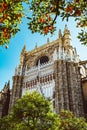 Spain, Andalusia, Seville, the Cathedral bell tower seen from the orange tree courtyard