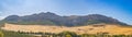 Spain, Andalusia. A summer mountain landscape with a grove of young olive trees. Royalty Free Stock Photo