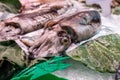 Spain, Barcelona - May 26 2022: There is fresh squid on the ice at the Boqueria Market in Barcelona