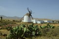 Spain, Canary Island, Fuerteventura Royalty Free Stock Photo