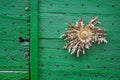 Detail Of Old Green Village Door With A Dried Thistle Flower.