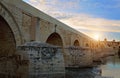 Famous Roman Bridge in Cordoba Royalty Free Stock Photo