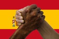 Spain flag, intergration of a multicultural group of young people Royalty Free Stock Photo