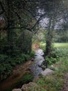 Spain forest landscape