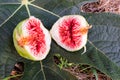 In Spain and Italy, figs are a healthy and energetic dessert