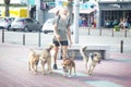 bearded long-haired man leads four dogs