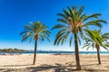 Platja d`Alcudia on Majorca beach with palm trees, Spain Mediterranean Sea. Royalty Free Stock Photo