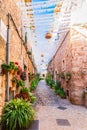 Spain Majorca, beautiful alley with flowers and plants in famous village Valldemossa Royalty Free Stock Photo