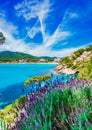 Spain Majorca coast, picturesque nature landscape at seaside of Canyamel Royalty Free Stock Photo