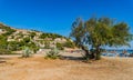 Spain Majorca, sand beach at coast of Canyamel Royalty Free Stock Photo