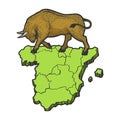 Spain map and bull sketch engraving vector